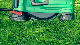 How much does annual lawn care cost